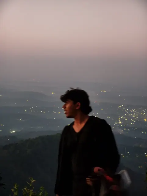 A figure stands at a hilltop viewpoint before dawn, the lights of a city spread out far below under a pink sky.